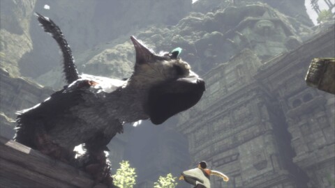 The last Guardian The last Guardian